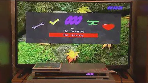 BBK DV812X - DVD-караоке система - демонстрация работы и внутреннее устройство .